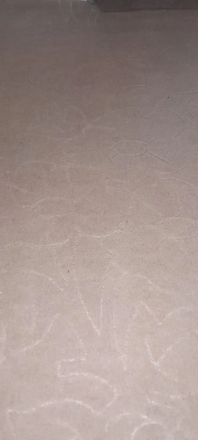 موکت نوتمیز|موکت|اراک, |دیوار