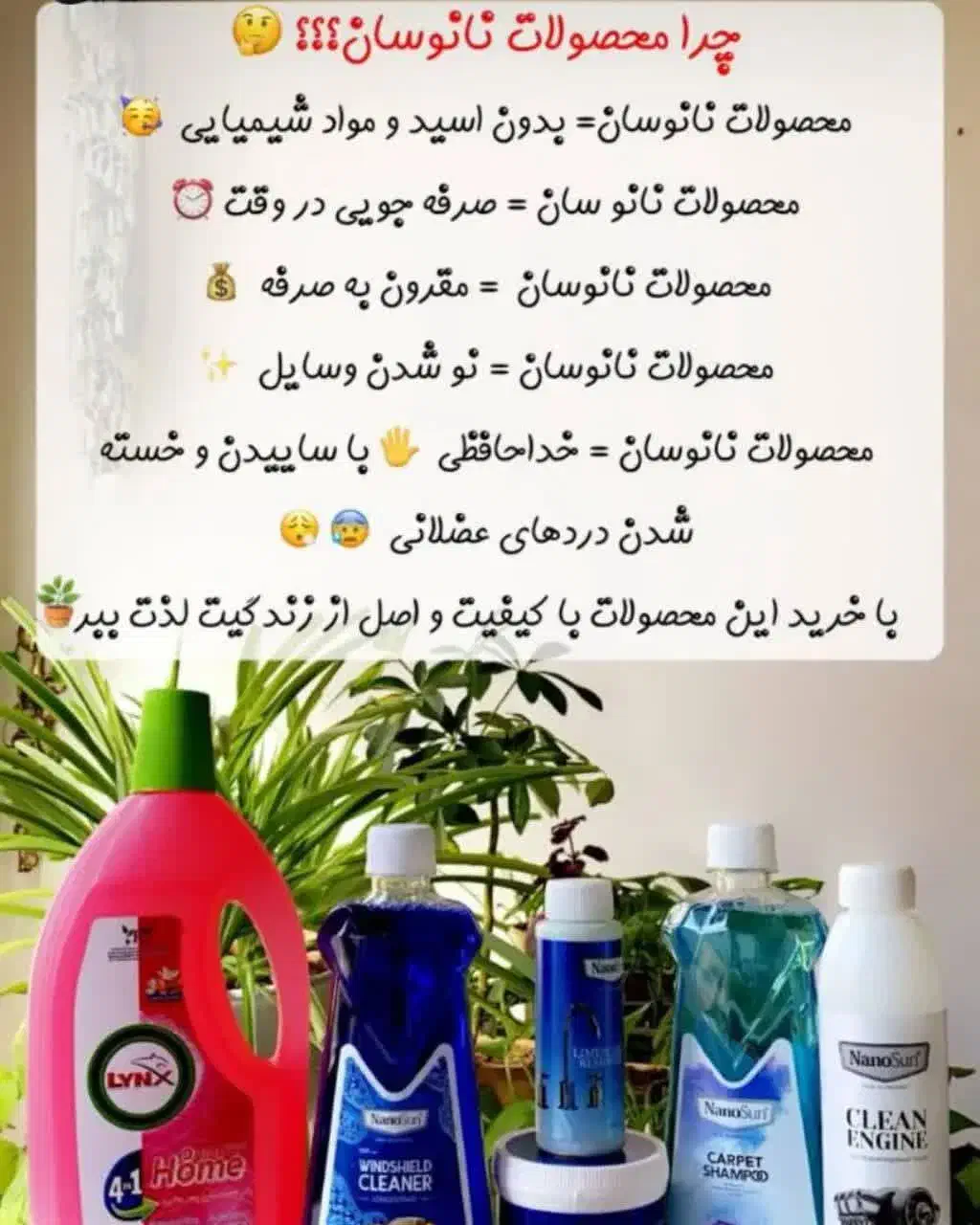 محصولات دکتر بیز|مواد شوینده و دستمال کاغذی|سهند, |دیوار