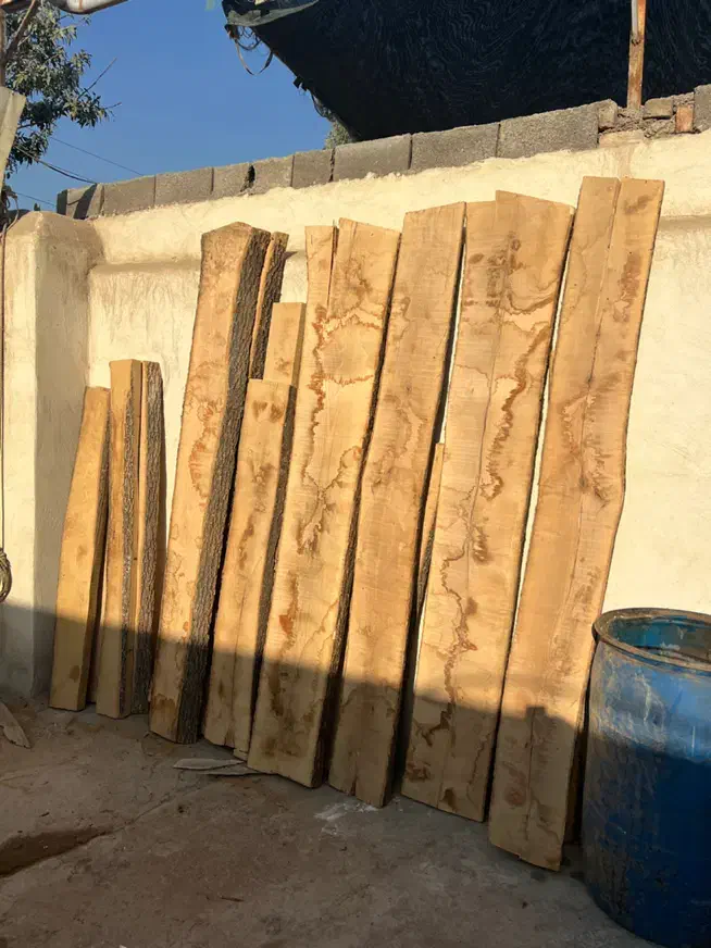 نجار وارد و نیمه وارد و نیرویی ساده|استخدام صنعتی، فنی، مهندسی|تهران, مشیریه|دیوار