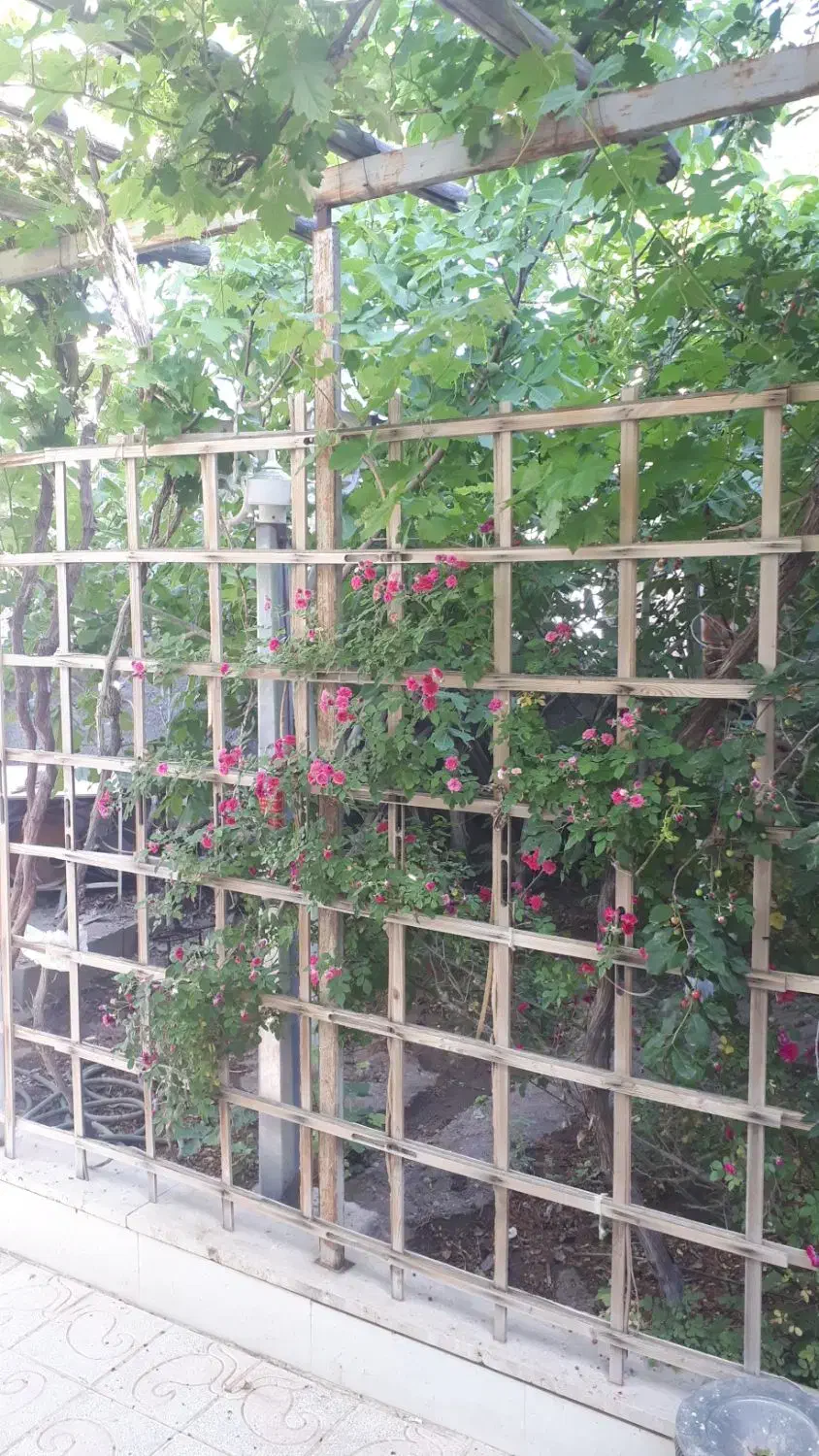 اجاره کوتاه مدت خانه باغ در نیر|اجارهٔ کوتاه‌مدت ویلا و باغ|نیر (یزد), |دیوار