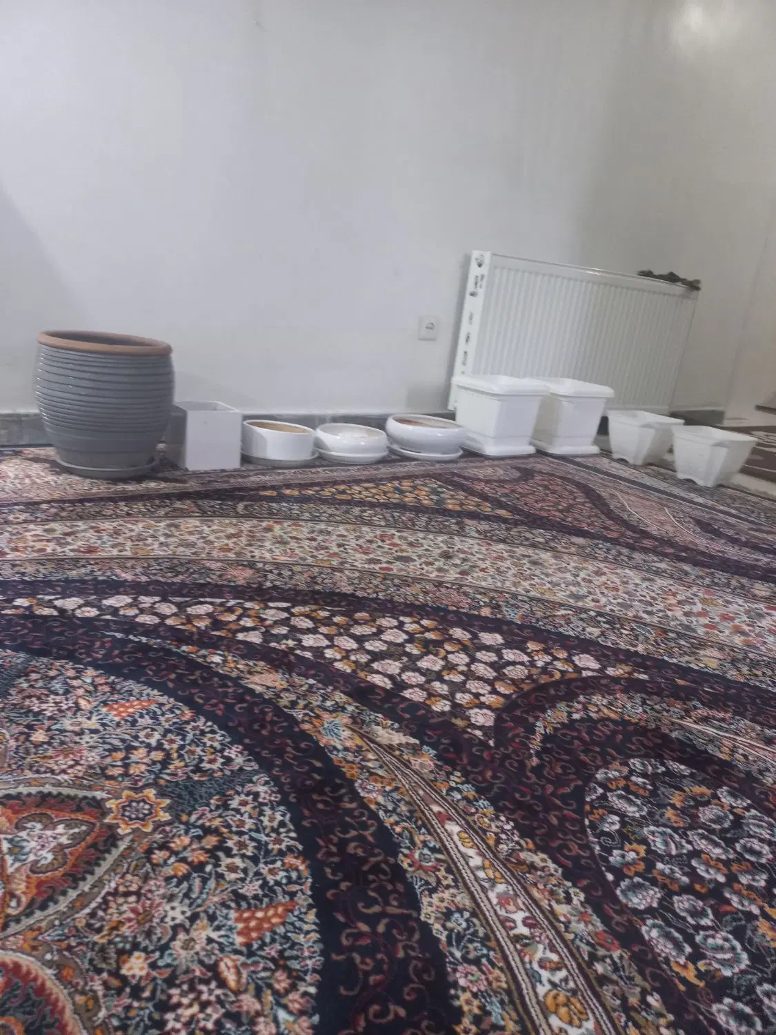 گلدان|گل و گیاه طبیعی|تهران, شهرک انصار|دیوار