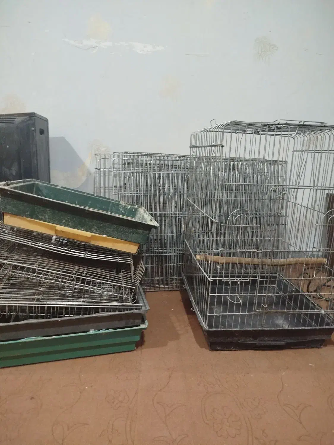 قفس سهره و قفس کاسکوی ۱۰۳۳|لوازم جانبی حیوانات|بندر امام خمینی, |دیوار