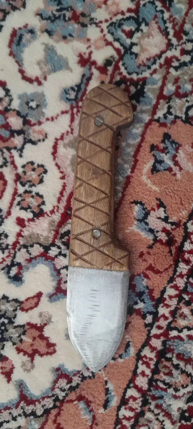 اگهی رو بخونید|پرنده|الشتر, |دیوار