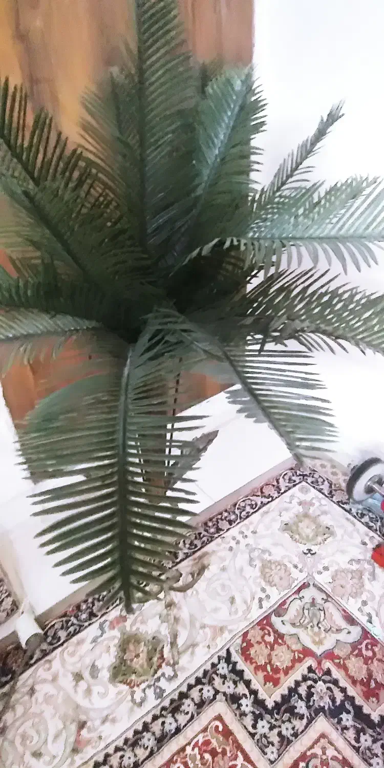 گلدان مصنوعی|گل مصنوعی|پاکدشت, پاکدشت (مامازند)|دیوار