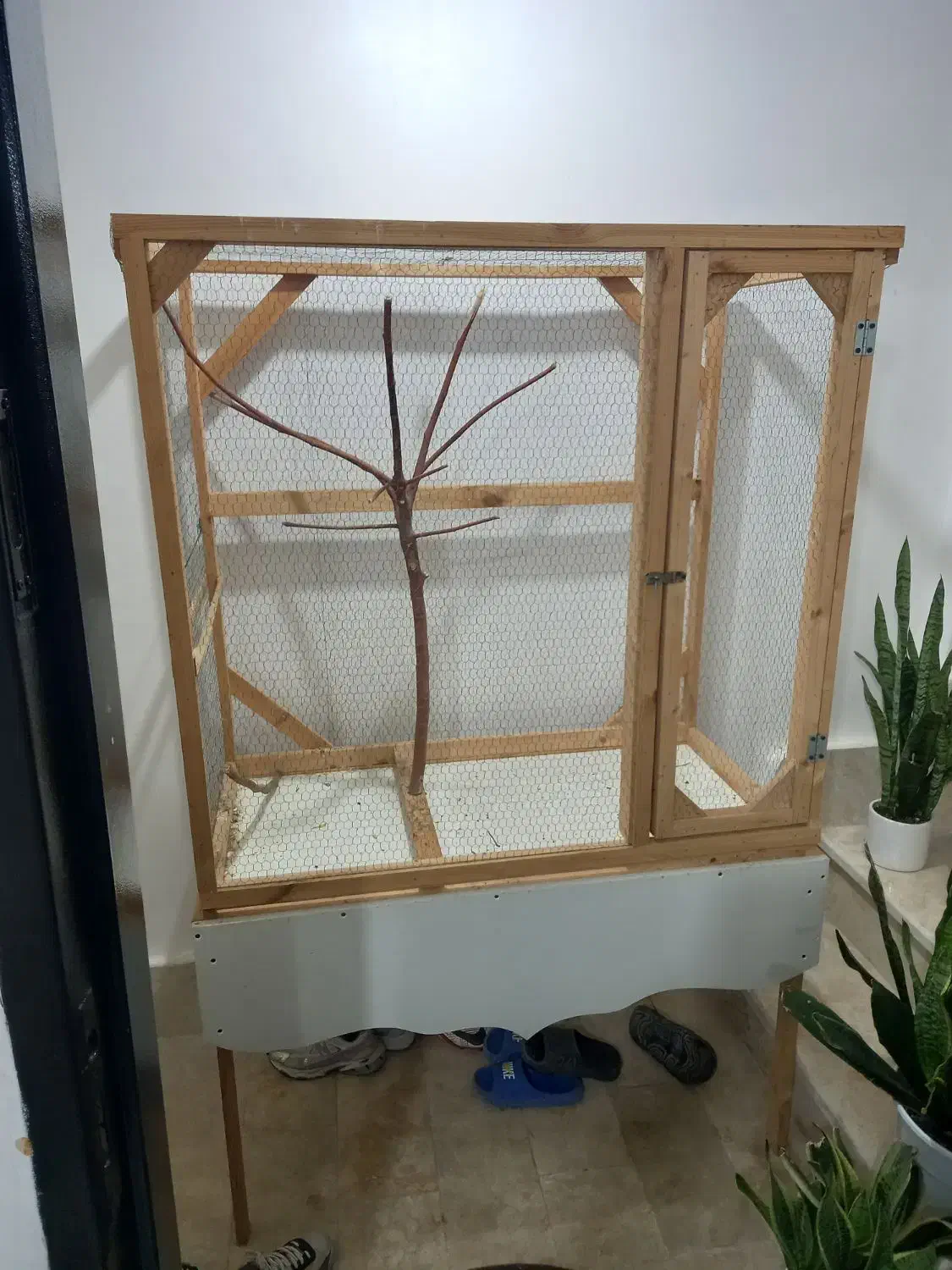 لانه پرنده|لوازم جانبی حیوانات|کوچصفهان, |دیوار