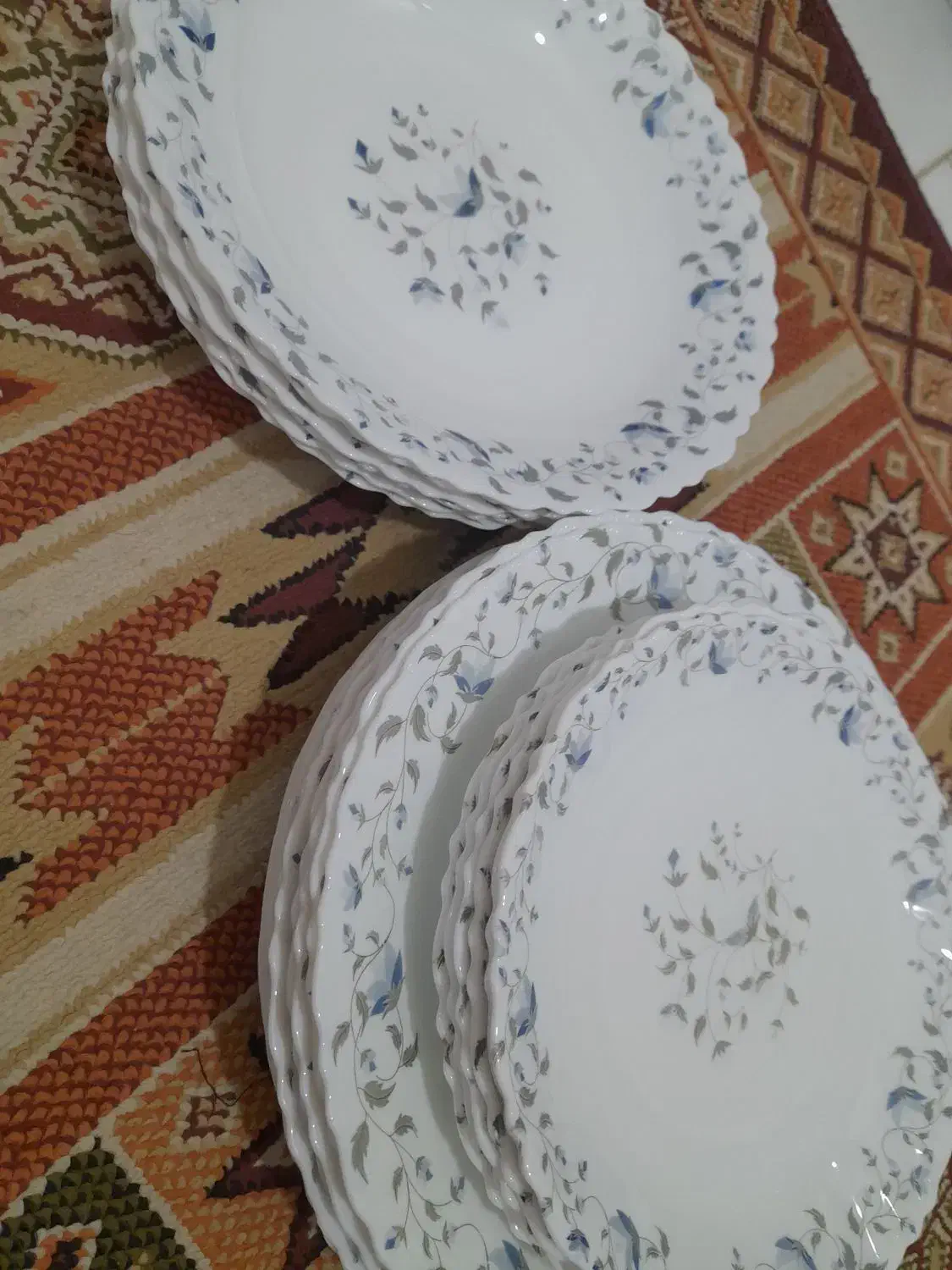 ظرف اگروپال|ظروف سرو و پذیرایی|فردیس, نگارستان|دیوار