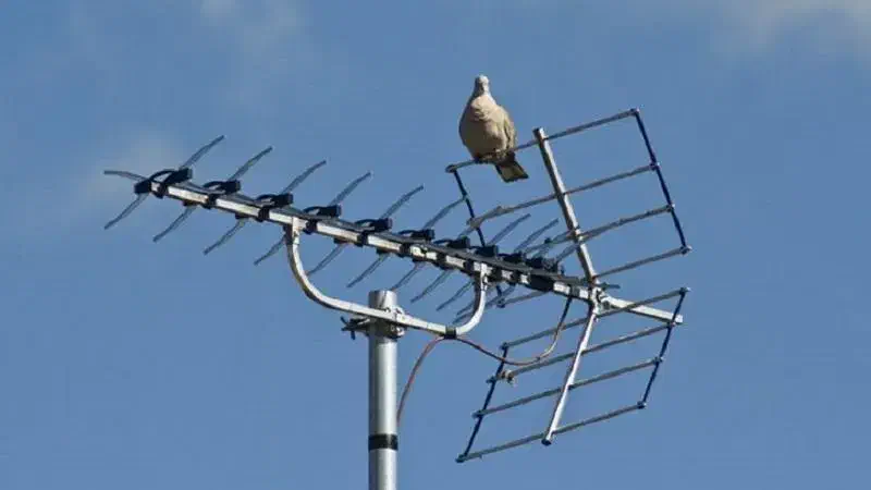 نصب آنتن|خدمات پیشه و مهارت|سنندج, |دیوار