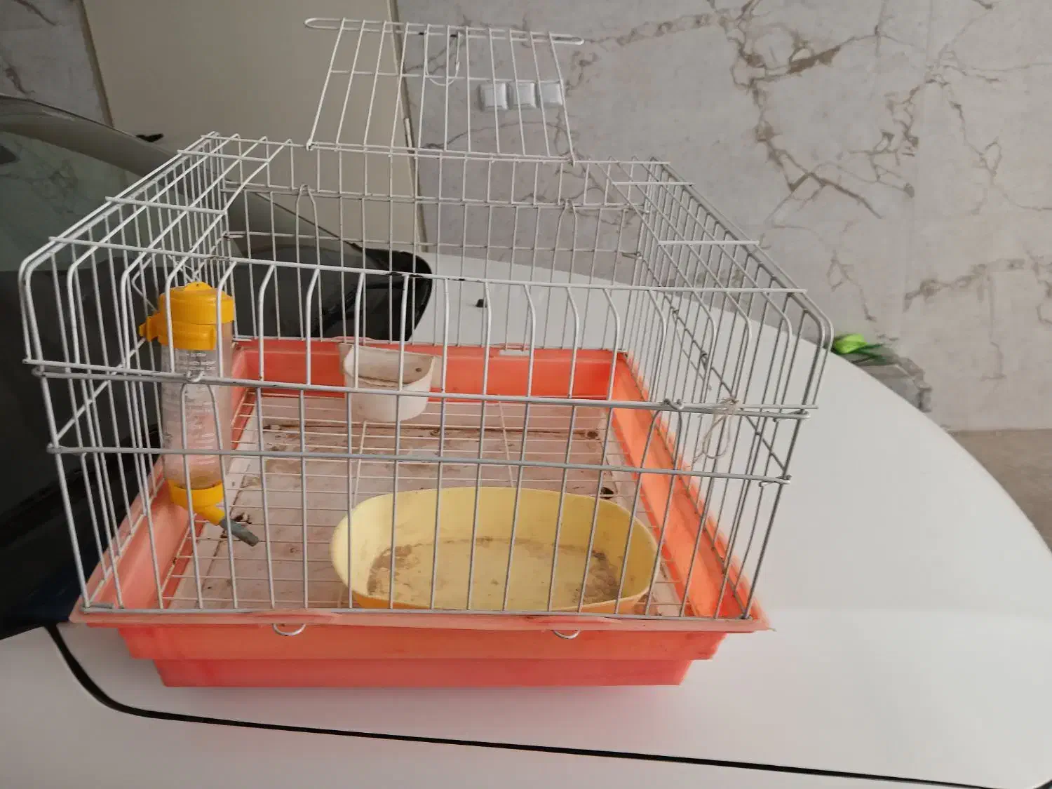 قفس خرگوش با تجهیزات|موش و خرگوش|زنجان, |دیوار