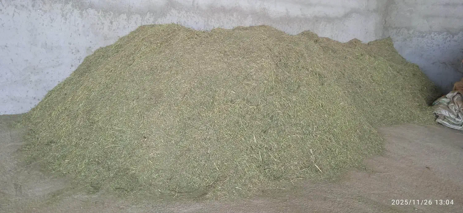 کاه یونجه و علف|لوازم جانبی حیوانات|شیروان (خراسان), |دیوار