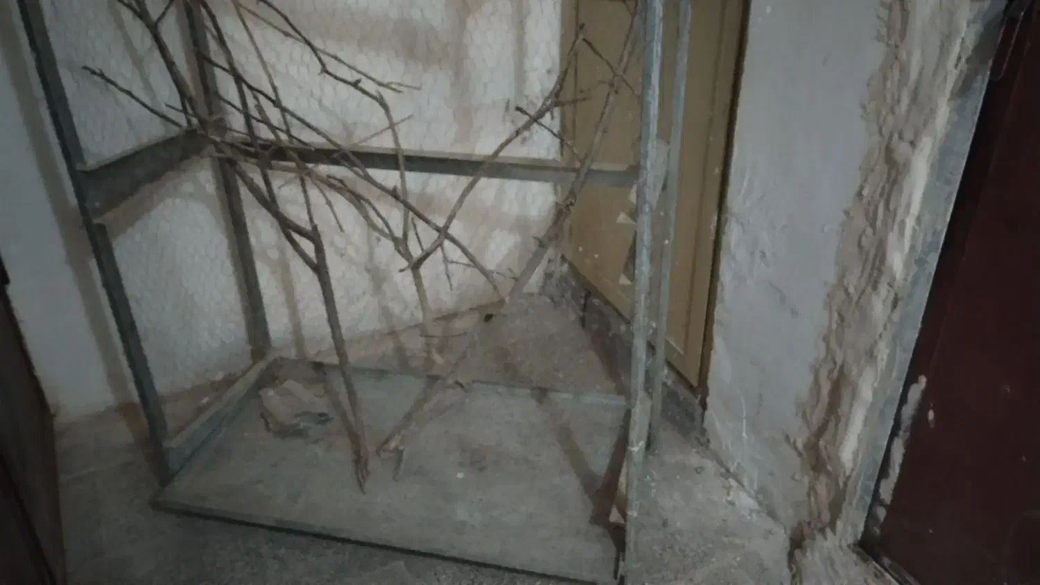 123|لوازم جانبی حیوانات|تربتحیدریه, شهرک ولیعصر|دیوار