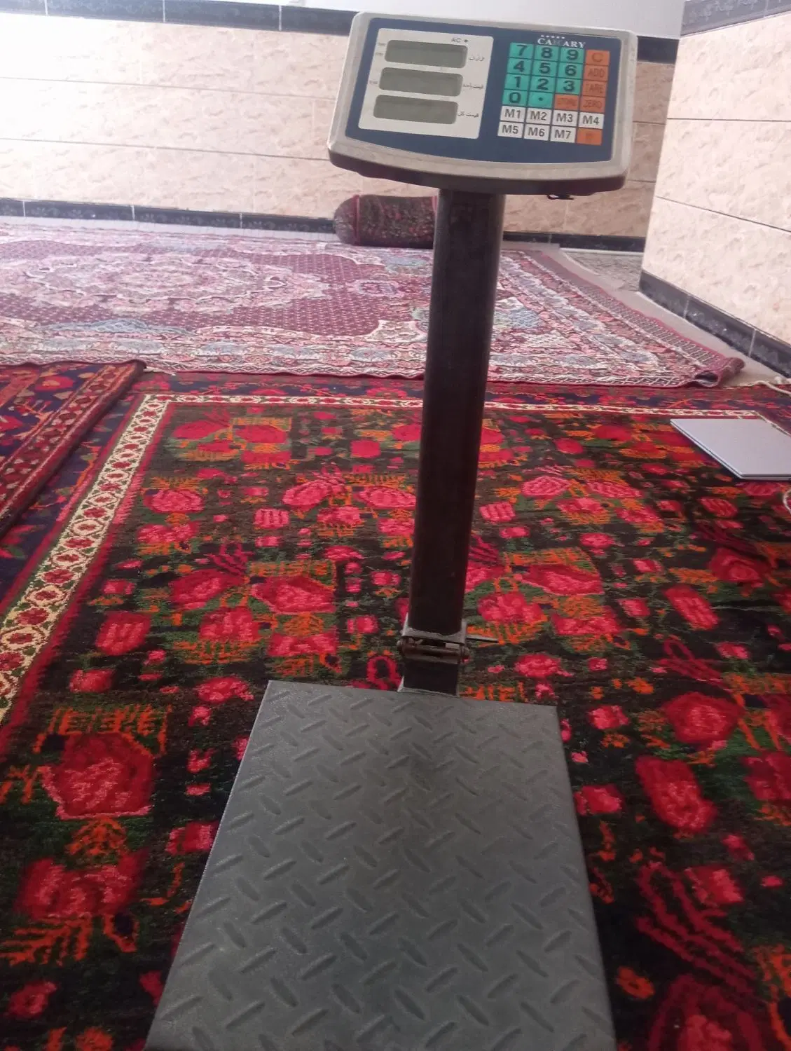ترازو|ظروف پخت‌وپز|جیرفت, |دیوار