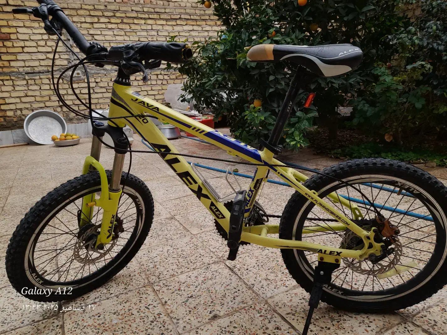 دوچرخه|دوچرخه، اسکیت، اسکوتر|داراب, |دیوار