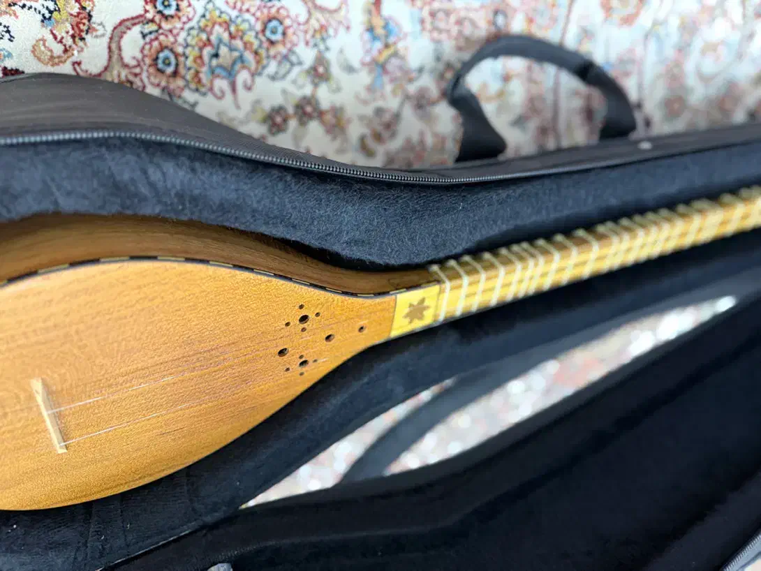 سه تار|سازهای سنتی|پردیس, فاز ۸|دیوار