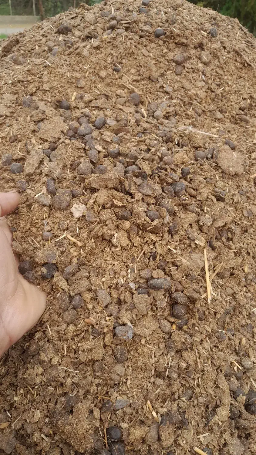 کود حیوانی|گل و گیاه طبیعی|سنگدوین, |دیوار