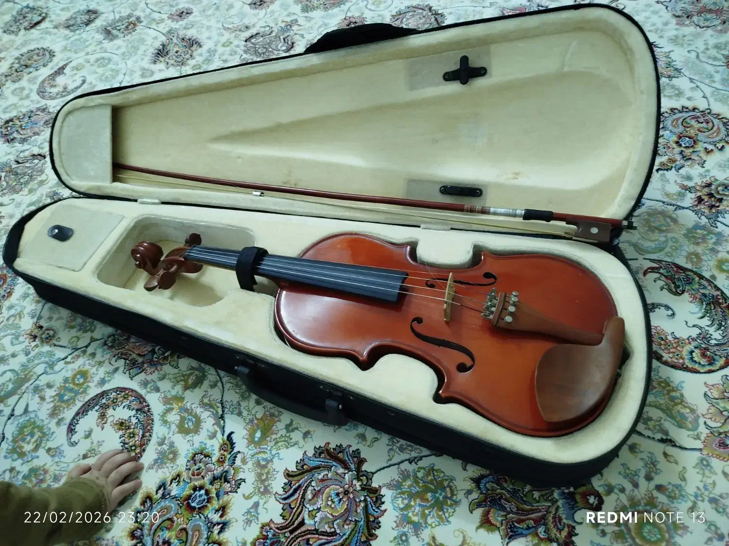 ویالون|ویولن|مشهد, باغون آباد|دیوار