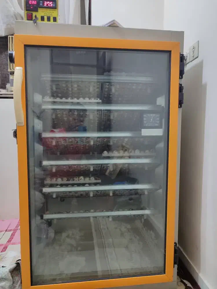 دستگاه جوجه کشی سیمرغ جنوب ۵۰۴ عددی مرغ|لوازم جانبی حیوانات|بندرعباس, |دیوار