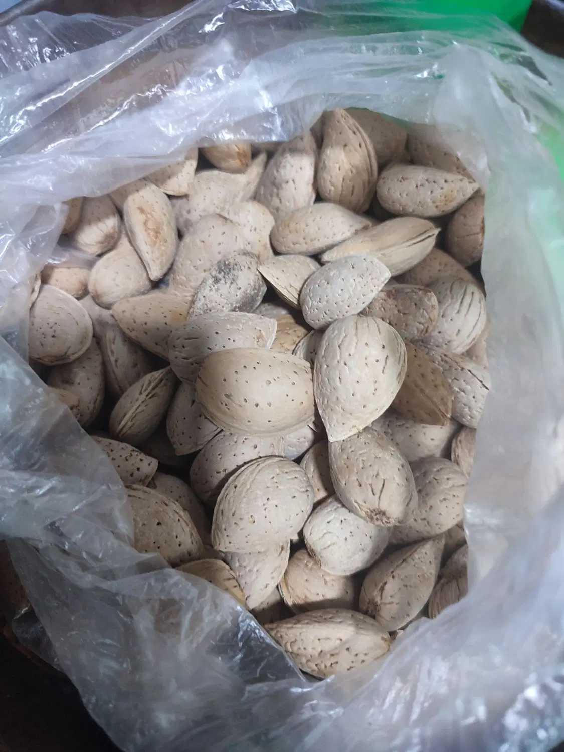 بادام|خوردنی و آشامیدنی|اصفهان, سروستان|دیوار