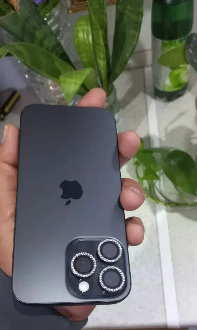 گوشی ۱۶ پرومکس zaمشکی ۲۵۶ گیگ|موبایل|مشهد, ایثارگران|دیوار