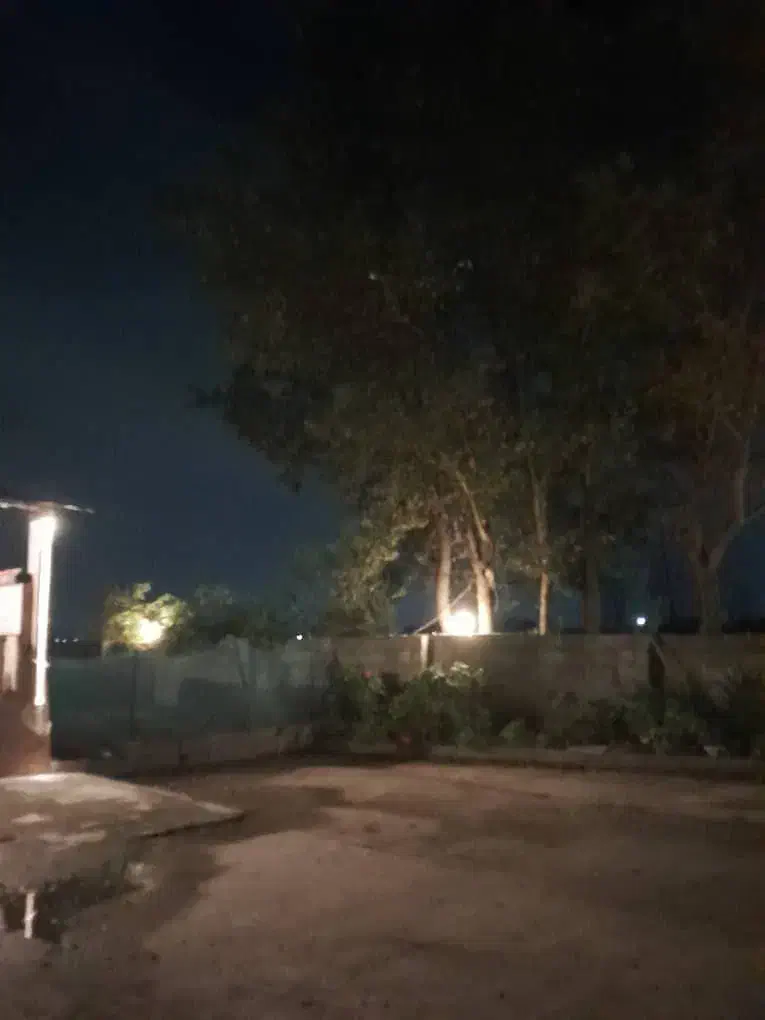 اجاره و رهن خانه|اجارهٔ خانه و ویلا|ماسال, |دیوار