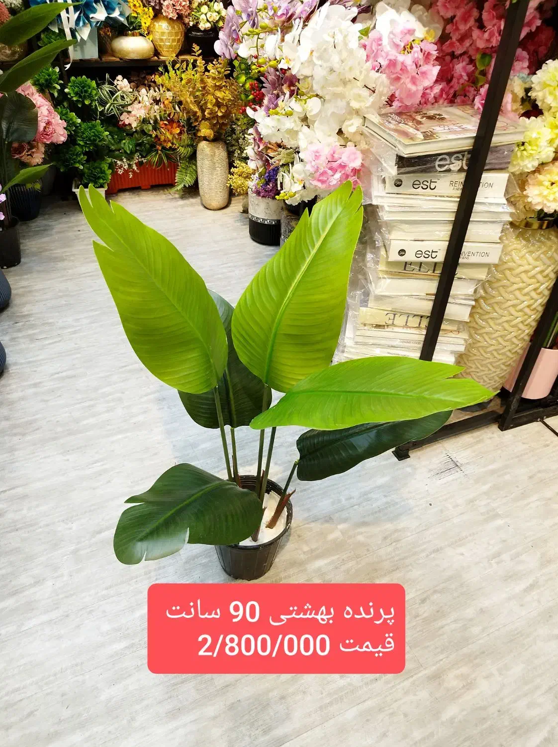 درختچه وارداتی|گل مصنوعی|فردیس, فردیس|دیوار