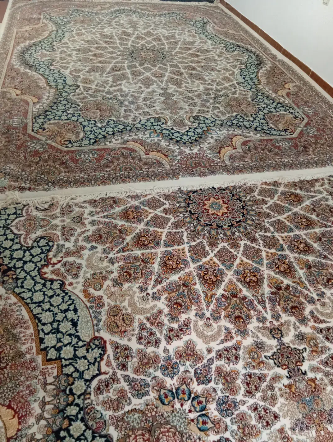 فرش ماشینی ۱۲ متری|فرش|ساری, |دیوار