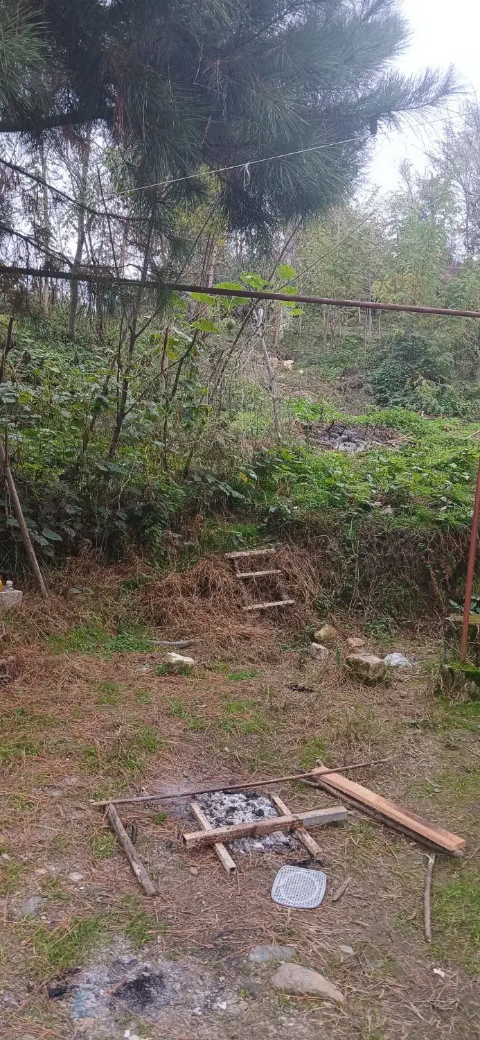 ۵۰۰متر زمین خانه و محوطه جنگلی|فروش خانه و ویلا|شفت, |دیوار