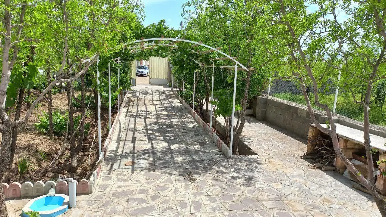تصویر 5