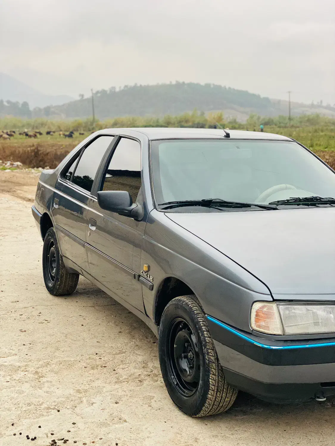 پژو۹۳دوگانه فابریک|خودرو سواری و وانت|گرگان, |دیوار