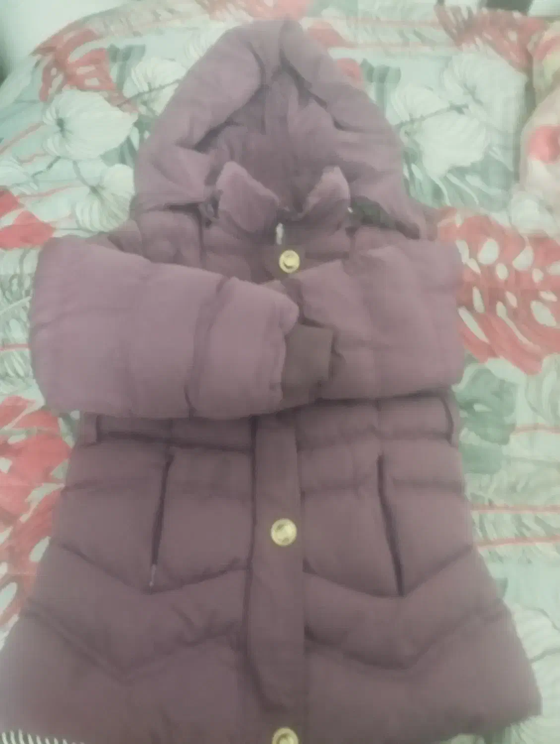 کابشن بادی|لباس|کازرون, |دیوار