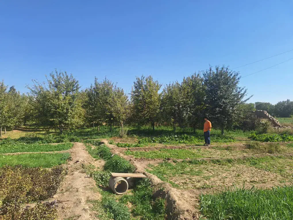 فروش زمین ۱۵۰۰ متری ملایر|فروش زمین و ملک کلنگی|ملایر, |دیوار