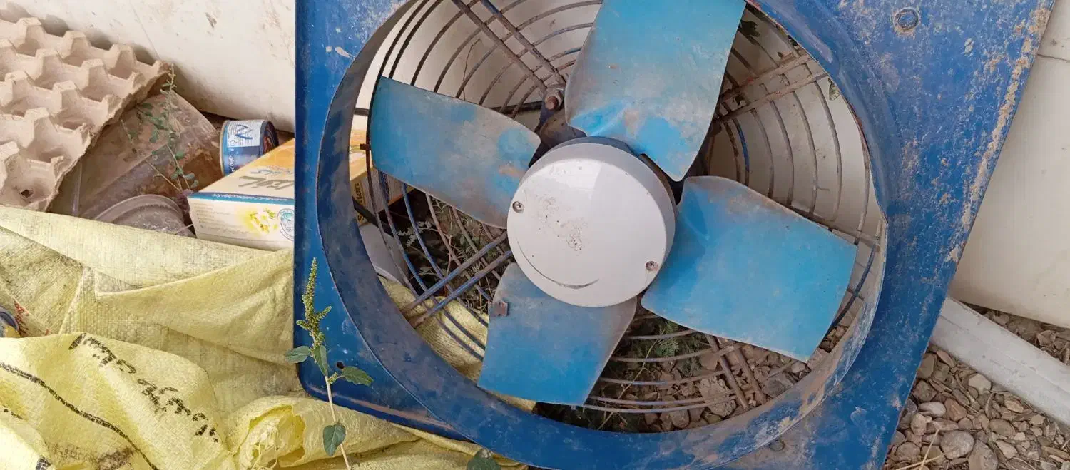 فن در حد نو|پنکه و تصفیهکنندهٔ هوا|گنبد کاووس, |دیوار