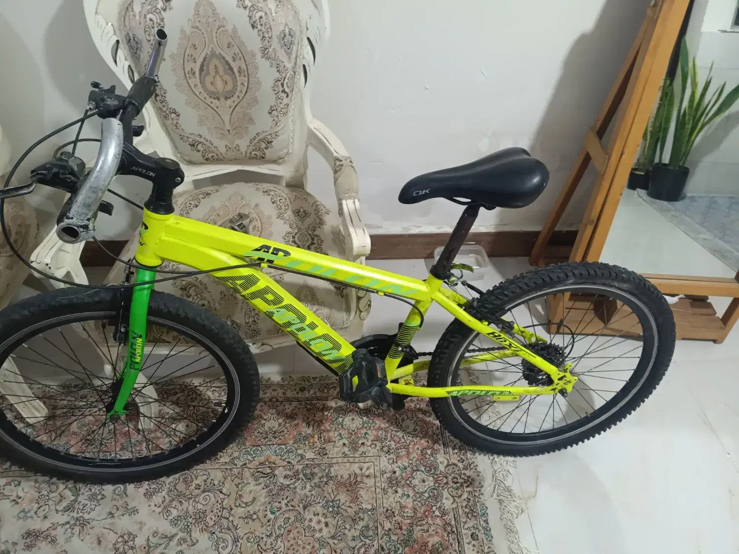 دوچرخه اپولون ۲۶تنه کوچیک|دوچرخه، اسکیت، اسکوتر|قدس, شهر‌قدس|دیوار