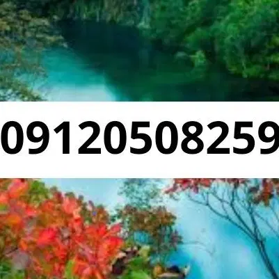 09120508259|سیم‌کارت|فردیس, طالقانی|دیوار