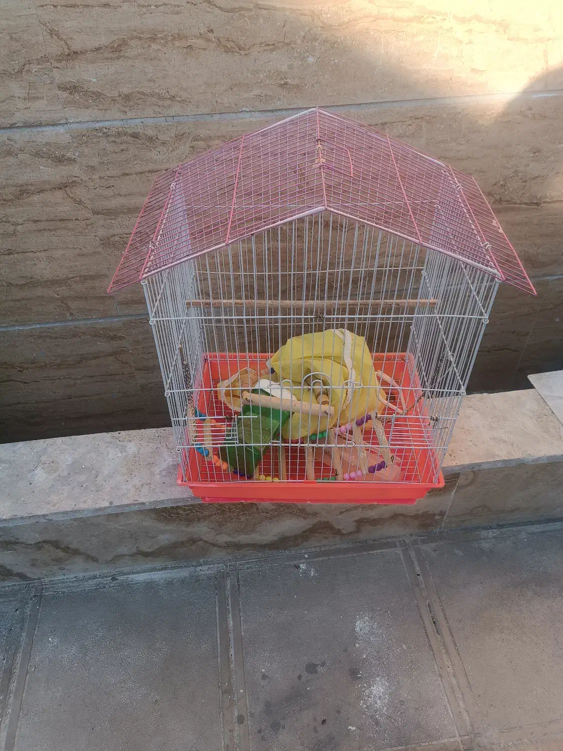 قفس|لوازم جانبی حیوانات|صائین قلعه, |دیوار