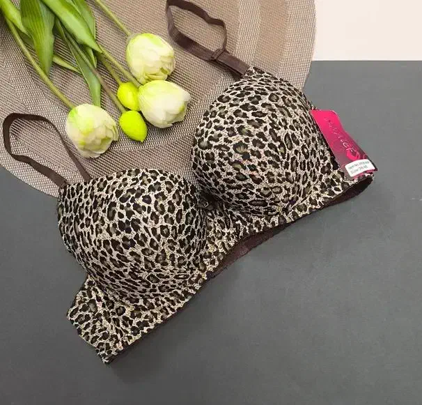 شورت وسوتین|لباس|رضوانشهر, |دیوار