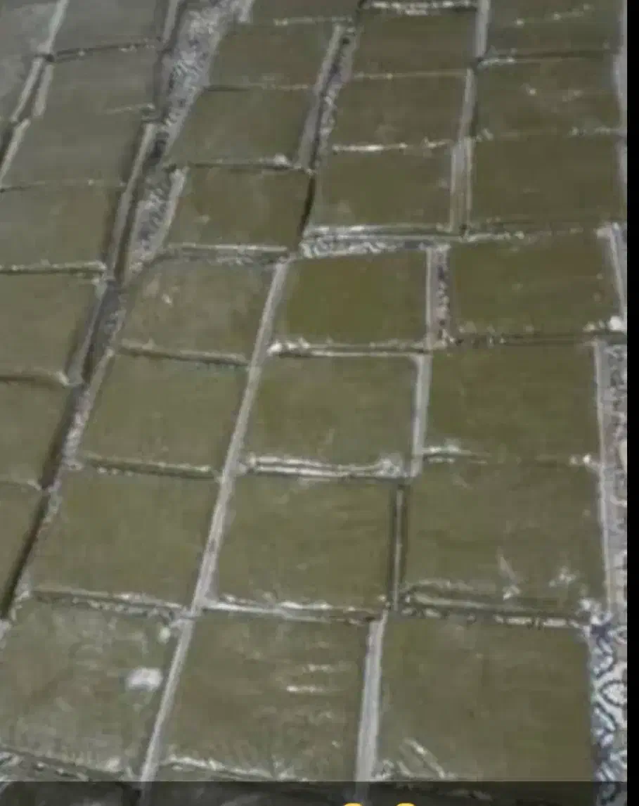 سبزی رامهرمز با بهترین کیفیت|خوردنی و آشامیدنی|شاهینشهر, خانه کارگر|دیوار