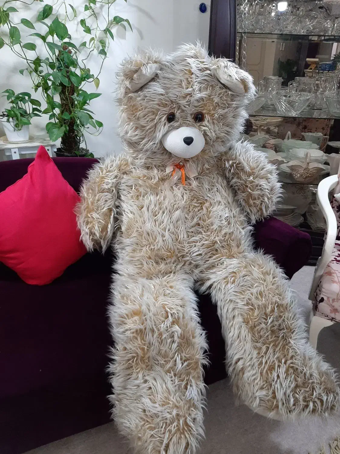 عروسک خرسی خارجی|اسباب‌بازی بچه|اهواز, منبع اب|دیوار