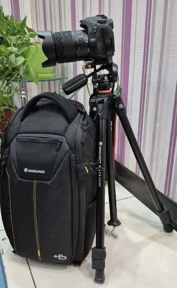 دوربین عکاسی کانن80D، شات5150 وسایل کیف و سه پایه|دوربین عکاسی و فیلمبرداری|فریدونشهر, |دیوار