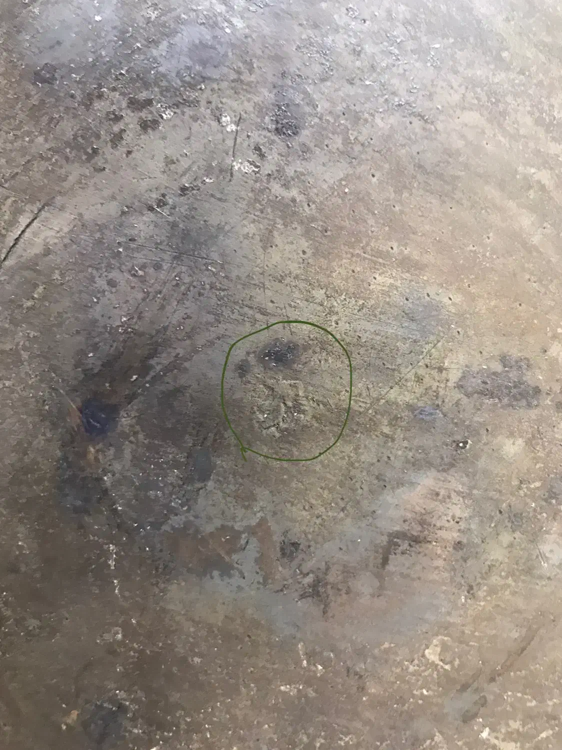 سینی ۳۰۰ ساله|کلکسیون اشیاء عتیقه|ساری, |دیوار