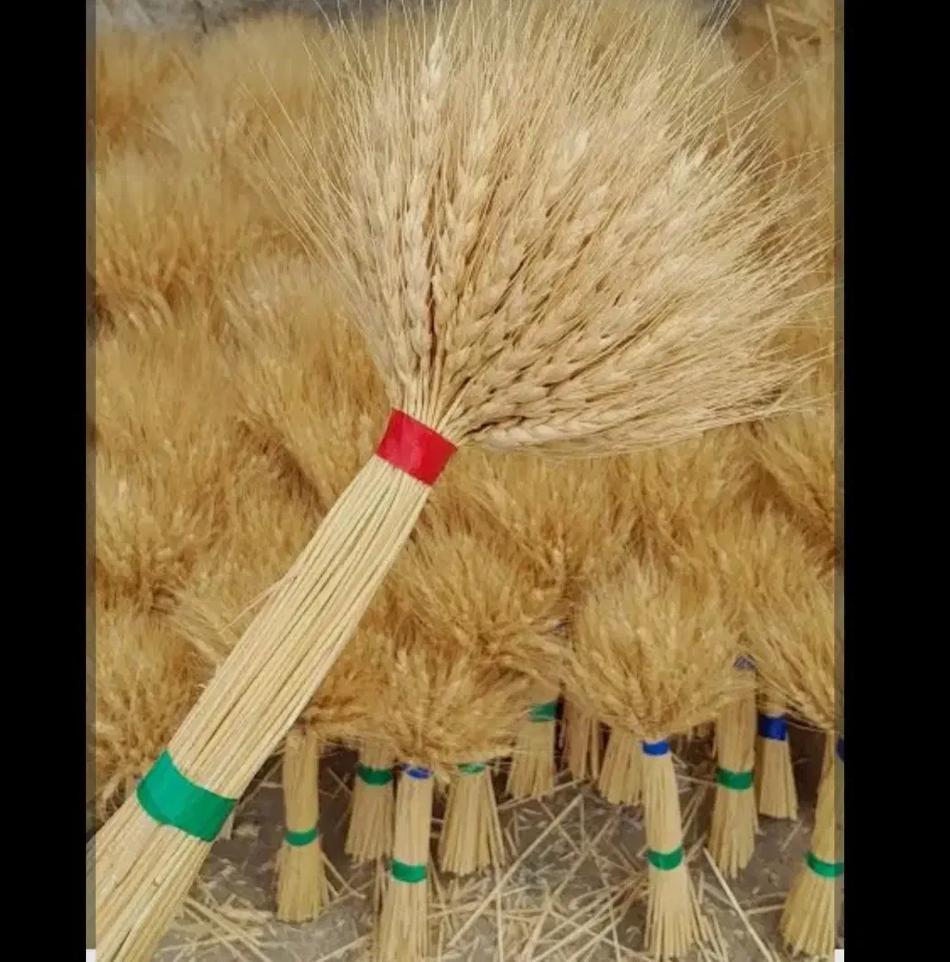 سنبل عید|عمده‌فروشی|محمدشهر, محمدشهر|دیوار