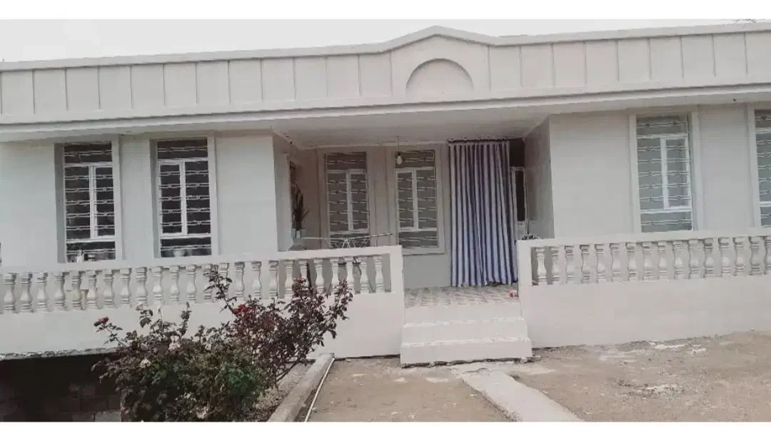 نما کاری|خدمات پیشه و مهارت|شباب, |دیوار