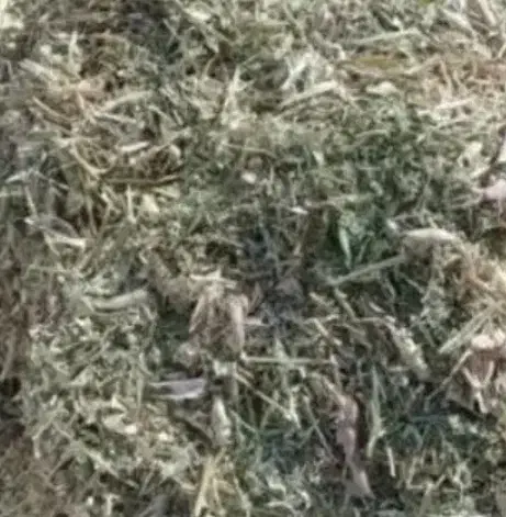 فروش2تن کاه لوبیا|لوازم جانبی حیوانات|مرودشت, ابوذر شمالی‎|دیوار