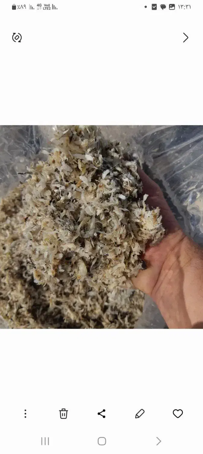 چغندر وتفاله چغندر وسیب وذرت|عمده‌فروشی|تکاب, |دیوار