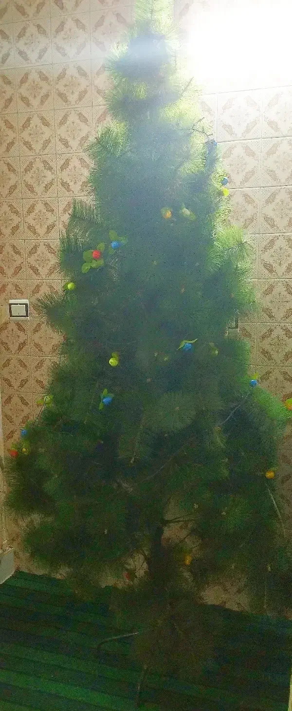 درخت کریسمس بزرگ|گل مصنوعی|قم, بکایی|دیوار