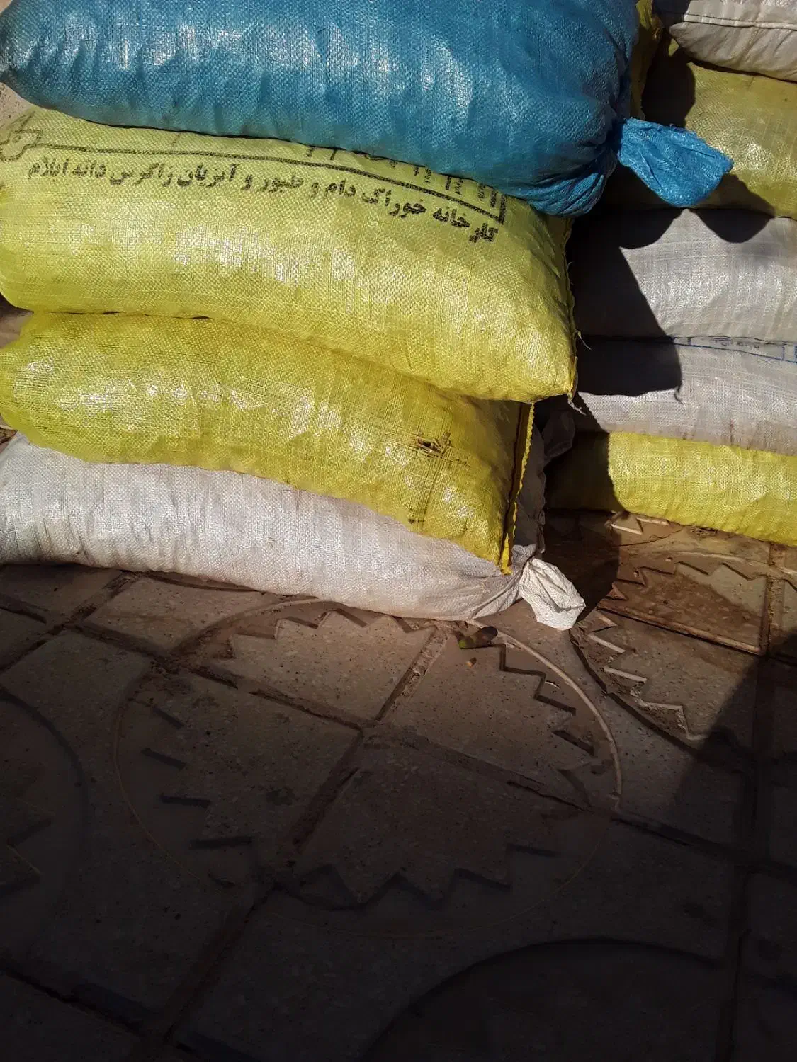 بلوط|حیوانات مزرعه|گچی, |دیوار