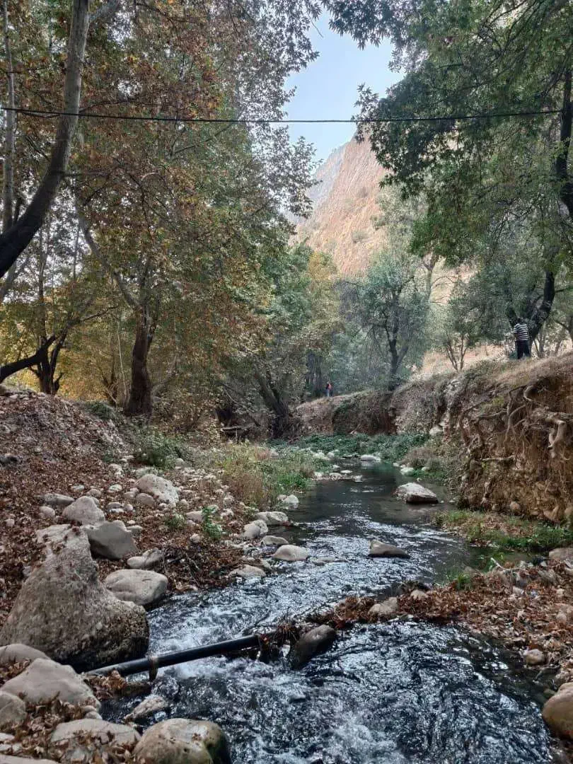 تورهای ایرانگردی و جهانگردی|تور و چارتر|شاهینشهر, سعدی جنوبی|دیوار