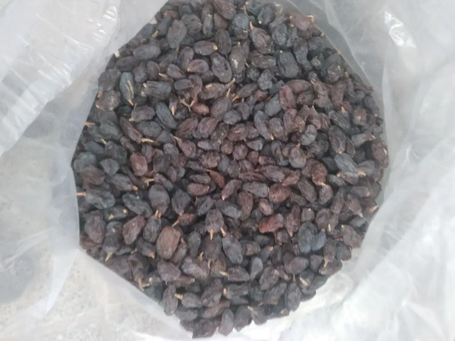 مویز مشکی|خوردنی و آشامیدنی|گلپایگان, |دیوار