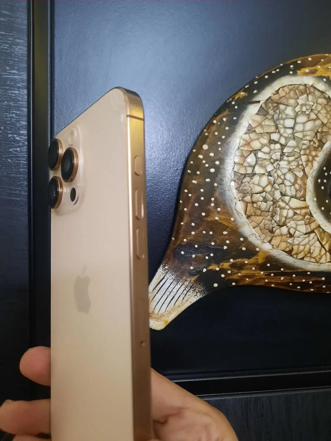 آیفون ۱۶ پرومکس ZAA|موبایل|کرمان, |دیوار