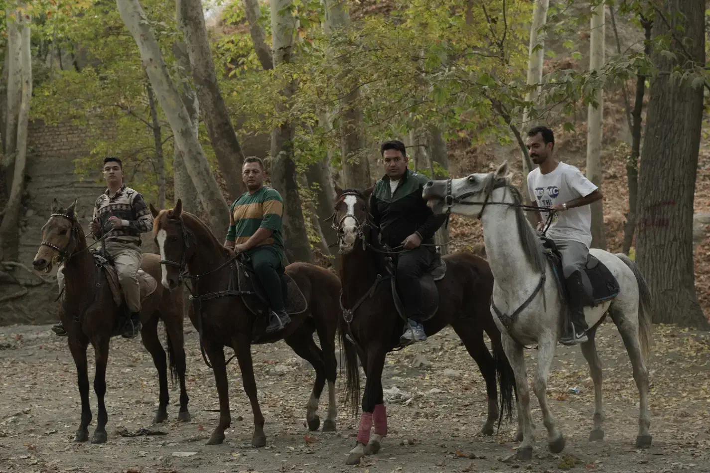 فروش فروی اسب نریان|اسب و تجهیزات اسبسواری|شاندیز, |دیوار