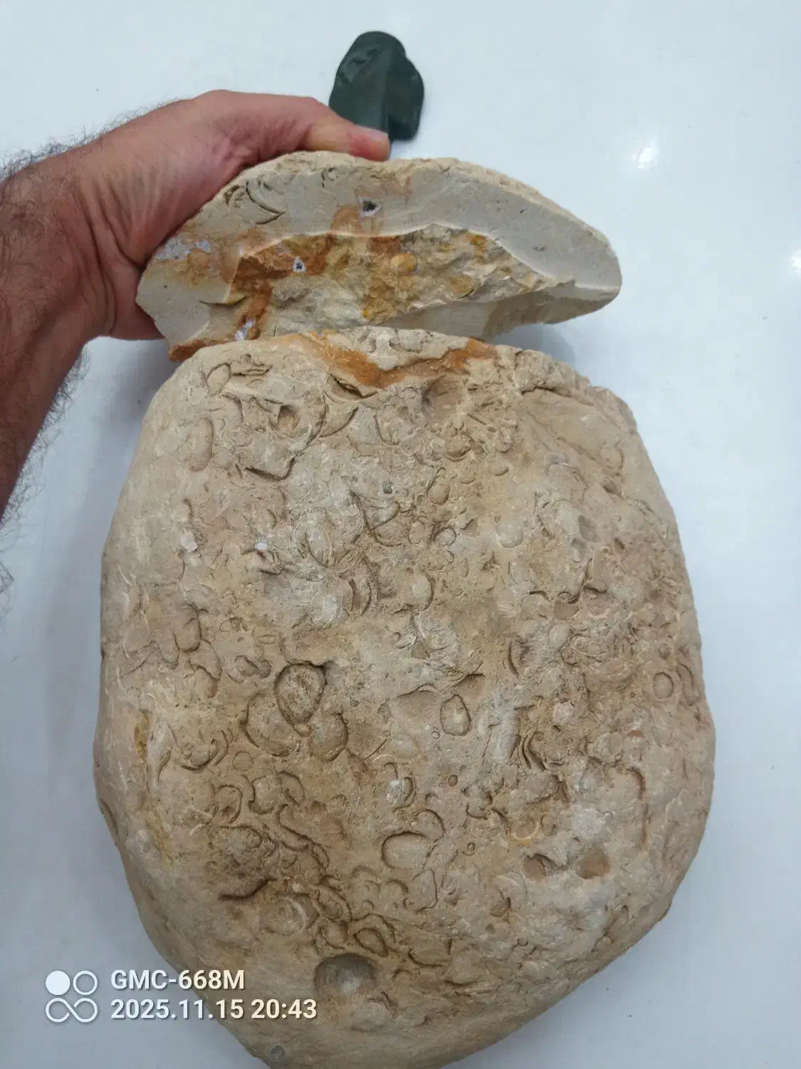 سنگ فسیلی بسیار نادر و قدمتدار|کلکسیون اشیاء عتیقه|چهارباغ, |دیوار